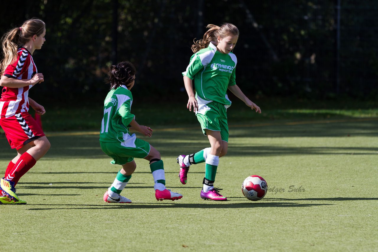 Bild 252 - C-Juniorinnen Kaltenkirchener TS - TuS Tensfeld : Ergebnis: 7:0